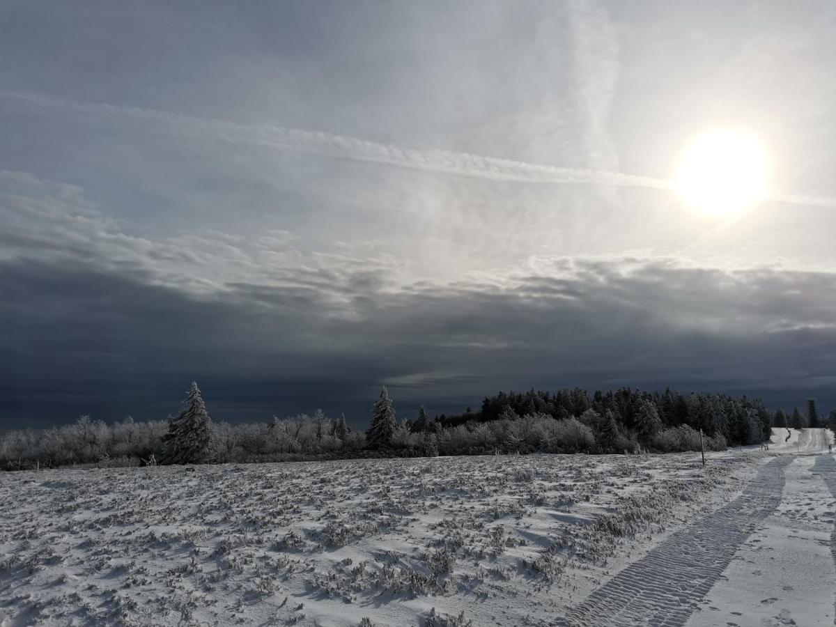 Gite Du Cerf Birkenwald Exteriér fotografie