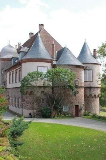 Gite Du Cerf Birkenwald Exteriér fotografie