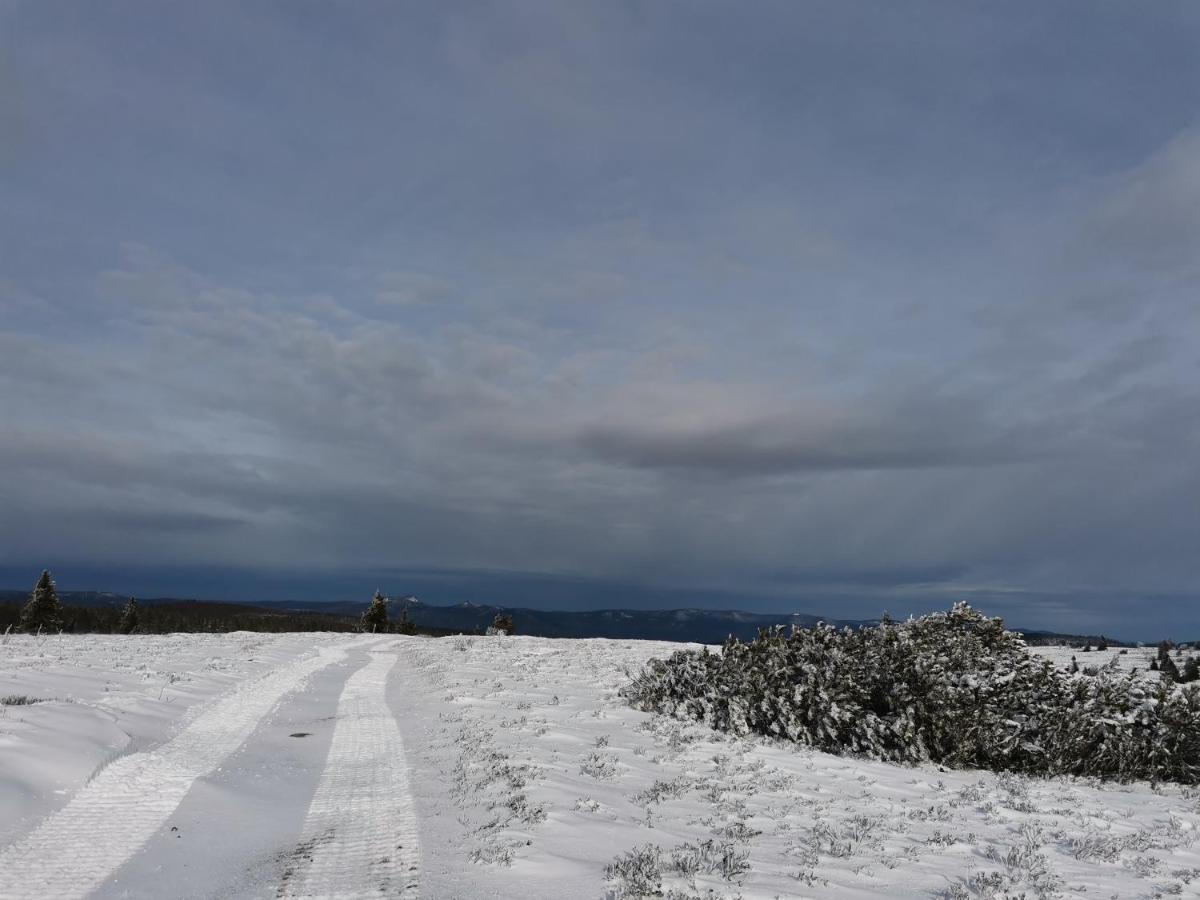 Gite Du Cerf Birkenwald Exteriér fotografie
