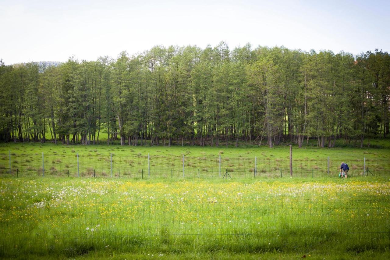 Gite Du Cerf Birkenwald Exteriér fotografie
