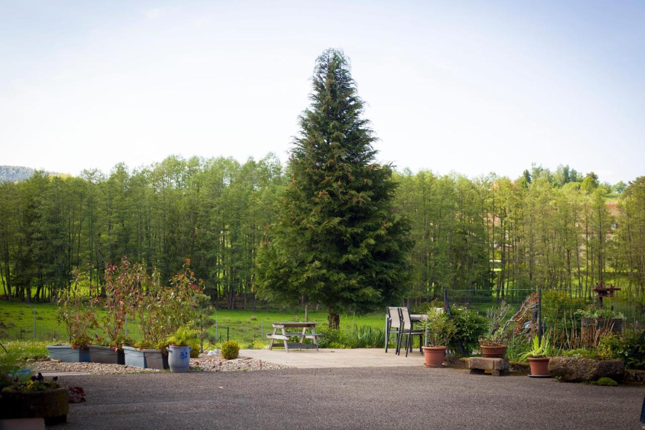 Gite Du Cerf Birkenwald Exteriér fotografie